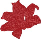 feature-flower